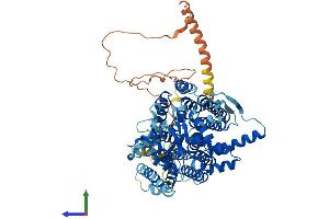AlphaFold protein structure predicition of Mouse Recombinant Dpy19l2 Protein, UniprotID P0CW70