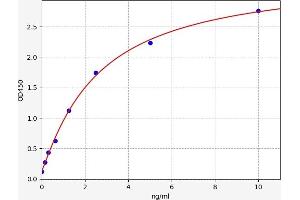 Typical standard curve (KISS1 ELISA Kit)