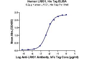Immobilized Human LRIG1, His Tag at 2 μg/mL (100 μL/well) on the plate.