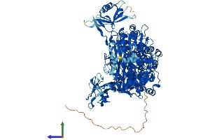 Protein Structure (PS) image for Ubiquitin-Like Modifier Activating Enzyme 6 (UBA6) (AA 1-1052) protein (His tag) (ABIN7555933)