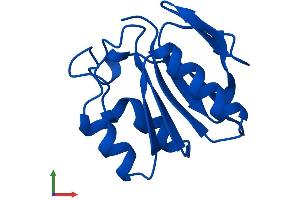 AlphaFold protein structure predicition of Human Recombinant AAMDC Protein, UniprotID Q9H7C9