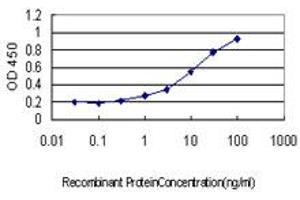 Detection limit for recombinant GST tagged ATP2A3 is approximately 0. (ATP2A3 antibody  (AA 501-620))