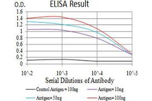 Black line: Control Antigen (100 ng);Purple line: Antigen (10ng); Blue line: Antigen (50 ng); Red line:Antigen (100 ng) (Selenoprotein S antibody  (AA 1-187))