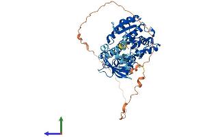 AlphaFold protein structure predicition of Mouse Recombinant Hsdl2 Protein, UniprotID Q2TPA8