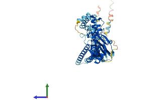 Protein Structure (PS) image for Amiloride-Sensitive Cation Channel 5, Intestinal (ACCN5) (AA 1-495) protein (His tag) (ABIN7556205)