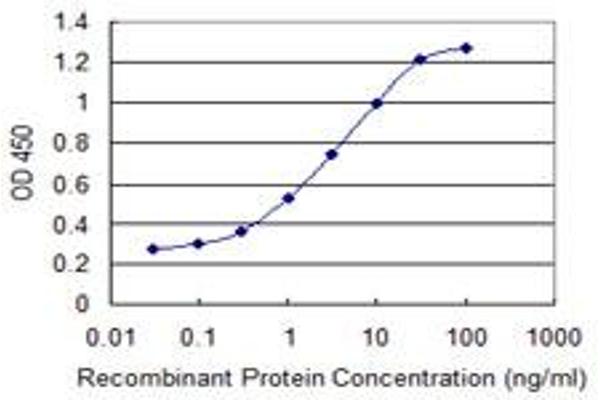 LYST antibody  (AA 1-100)