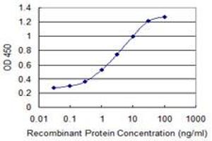 Detection limit for recombinant GST tagged LYST is 0. (LYST antibody  (AA 1-100))