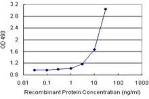 BST2 (Human) Matched Antibody Pair