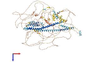 Family with Sequence Similarity 193, Member A (FAM193A) (AA 1-1231) protein (His tag)