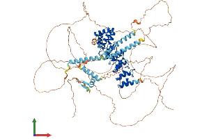 AlphaFold protein structure predicition of Human Recombinant KANK2 Protein, UniprotID Q63ZY3 (KANK2 Protein (AA 1-851) (His tag))