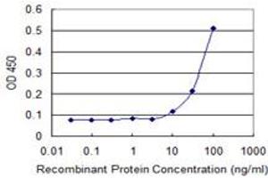 Detection limit for recombinant GST tagged RECQL is 3 ng/ml as a capture antibody. (RecQ Protein-Like (DNA Helicase Q1-Like) (RECQL) (AA 549-648) antibody)