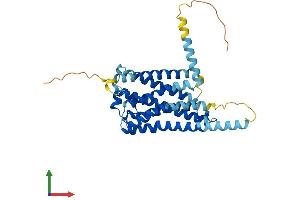 Protein Structure (PS) image for G Protein-Coupled Receptor 21 (GPR21) (AA 1-349) protein (His tag) (ABIN7548157)