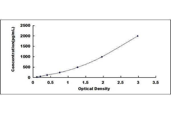 CELA1 ELISA Kit