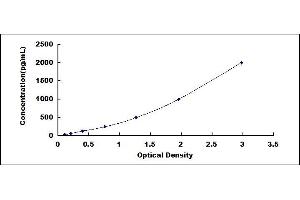 Typical standard curve (CELA1 ELISA Kit)