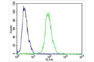 Overlay histogram showing Jurkat cells stained with (ABIN655717 and ABIN2845167) (green line). (NOS2 antibody  (AA 830-860))