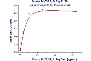 Immobilized Mouse M-CSF Protein at 2μg/mL (100 μL/well) can bind Mouse M-CSF R, Fc Tag  with a linear range of 0.