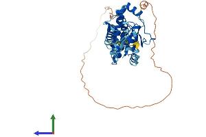 AlphaFold protein structure predicition of Mouse Recombinant Kti12 Protein, UniprotID Q9D1R2