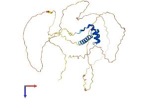 OTX1 Protein (AA 1-354) (His tag)