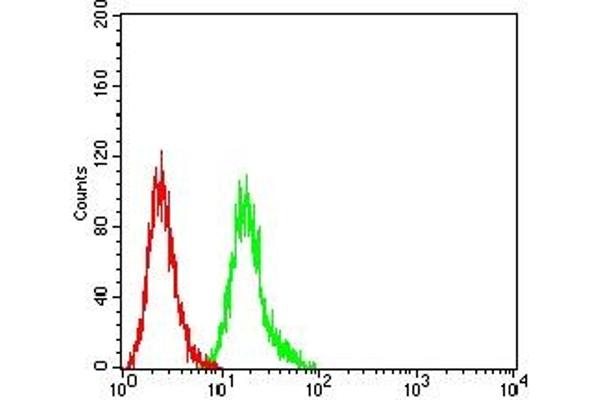 CRTAM antibody  (AA 18-287)