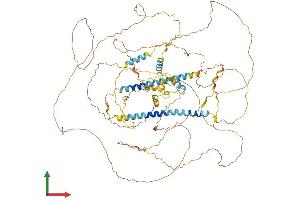 AlphaFold protein structure predicition of Human Recombinant DACT1 Protein, UniprotID Q9NYF0 (DACT1 Protein (AA 1-836) (His tag))