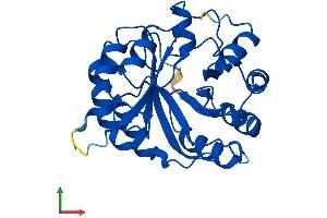 AlphaFold protein structure predicition of Human Recombinant FAM151B Protein, UniprotID Q6UXP7