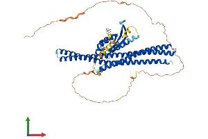 AlphaFold protein structure predicition of Human Recombinant SNX1 Protein, UniprotID Q13596