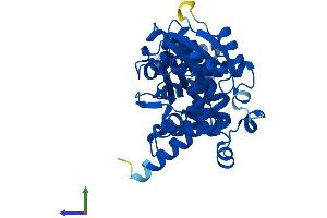 AlphaFold protein structure predicition of Human Recombinant ASMT Protein, UniprotID P46597