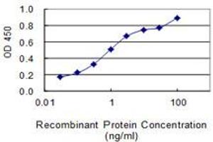Detection limit for recombinant GST tagged FLJ35767 is 0. (FLJ35767 (AA 1-164) antibody)
