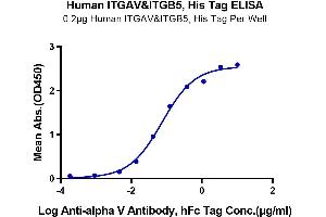 Immobilized Human ITGAV&ITGB5, His Tag at 2 μg/mL (100 μL/Well) on the plate.