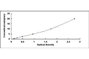 Typical standard curve (FOXO1 ELISA Kit)