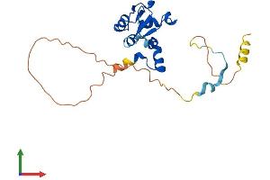 AlphaFold protein structure predicition of Mouse Recombinant Terb2 Protein, UniprotID Q9D494 (Terb2 Protein (AA 1-218) (His tag))