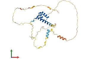Protein Structure (PS) image for Pituitary Homeobox 3 (PITX3) (AA 1-302) protein (His tag) (ABIN7554990)