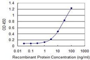 Detection limit for recombinant GST tagged TAGLN is 0. (Transgelin antibody  (AA 19-112))