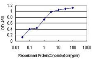 Detection limit for recombinant GST tagged ANAPC11 is approximately 0. (ANAPC11 antibody  (AA 1-54))