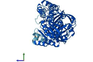 AlphaFold protein structure predicition of Human Recombinant RTCB Protein, UniprotID Q9Y3I0