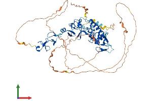 Protein Structure (PS) image for Prickle Homolog 3 (PRICKLE3) (AA 1-615) protein (His tag) (ABIN7550960)