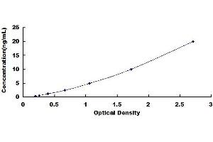 Typical standard curve (EGFR ELISA Kit)