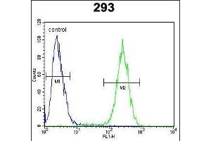 ENSA Antibody (Center) (ABIN654413 and ABIN2844151) flow cytometric analysis of 293 cells (right histogram) compared to a negative control cell (left histogram). (Ensa antibody  (AA 39-66))