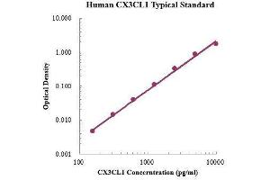 ELISA image for Chemokine (C-X3-C Motif) Ligand 1 (CX3CL1) ELISA Kit (ABIN3198518)