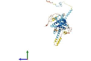 AlphaFold protein structure predicition of Mouse Recombinant Fam227b Protein, UniprotID Q9D518 (FAM227B Protein (AA 1-532) (His tag))