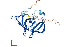 AlphaFold protein structure predicition of Human Recombinant FAM72D Protein, UniprotID Q6L9T8 (FAM72D Protein (AA 1-149) (His tag))