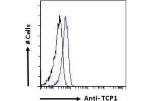 ABIN185185 Flow cytometric analysis of paraformaldehyde fixed HeLa cells (blue line), permeabilized with 0. (TCP1 alpha/CCTA antibody  (C-Term))