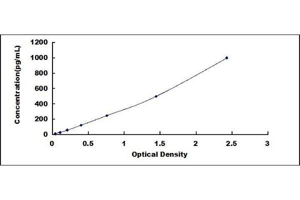 SOSTDC1 ELISA Kit