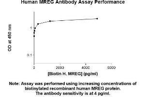Image no. 1 for anti-Melanoregulin (MREG) (AA 1-214) antibody (ABIN5566795) (MREG antibody  (AA 1-214))