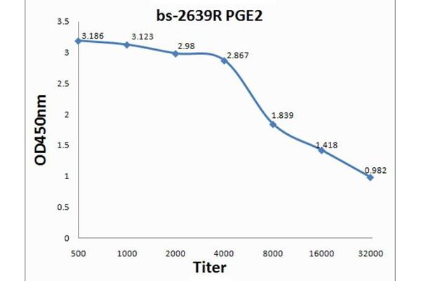 PGE2 antibody  (AA 281-384)