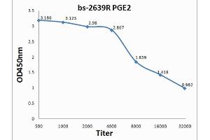 Antigen: 0. (PGE2 antibody  (AA 281-384))