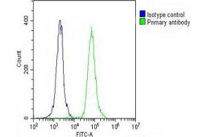 Overlay histogram showing THP-1 cells stained with (ABIN391674 and ABIN2841585) (green line). (CD31 antibody  (C-Term))