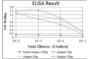 Red: Control Antigen (100 ng), Purple: Antigen (10 ng), Green: Antigen (50 ng), Blue: Antigen (100 ng), (JUP antibody)