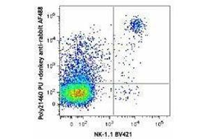 Flow Cytometry (FACS) image for Donkey anti-Rabbit IgG antibody (Alexa Fluor 488) (ABIN2667219) (Donkey anti-Rabbit IgG Antibody (Alexa Fluor 488))