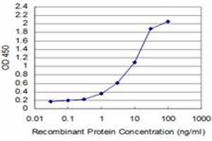Detection limit for recombinant GST tagged TESK2 is approximately 0. (TESK2 antibody  (AA 405-542))